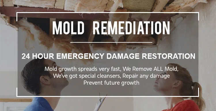 logo-image - banner-01