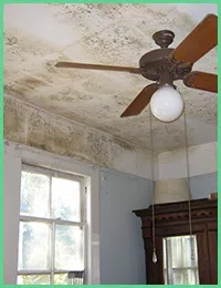 Pembroke Pines Restoration Company Pembroke Pines, FL 954-516-6973