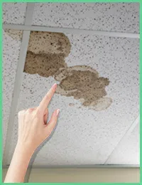 Pembroke Pines Restoration Company Pembroke Pines, FL 954-516-6973