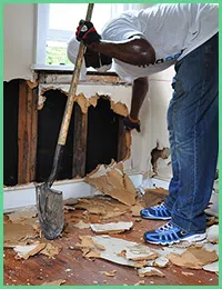 Pembroke Pines Restoration Company Pembroke Pines, FL 954-516-6973