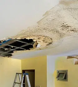 Pembroke Pines Restoration Company Pembroke Pines, FL 954-516-6973