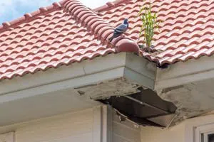 Pembroke Pines Restoration Company Pembroke Pines, FL 954-516-6973 Pembroke Pines Restoration Company Pembroke Pines, FL 954-516-6973